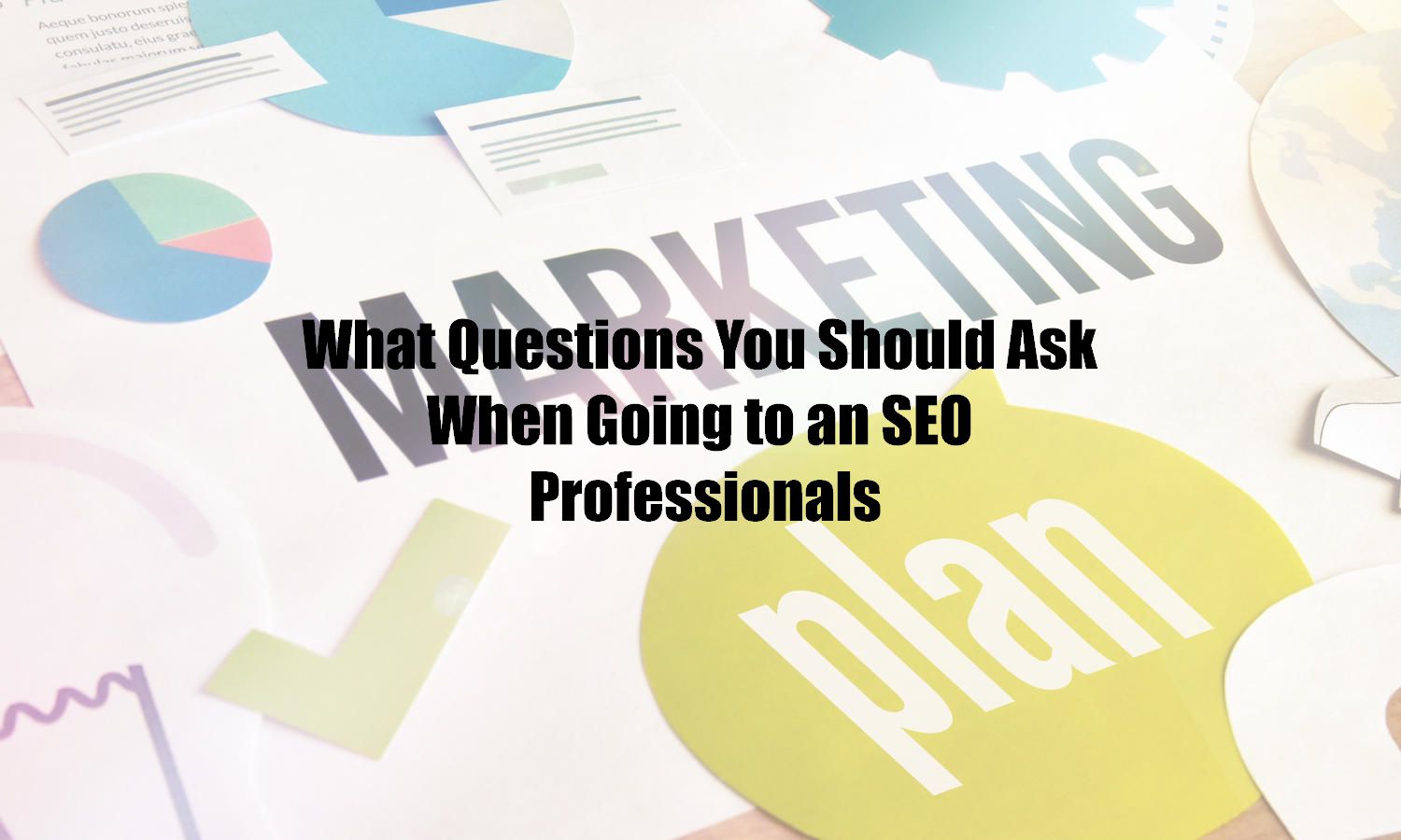 What Questions You Should Ask When Going to an SEO Professionals