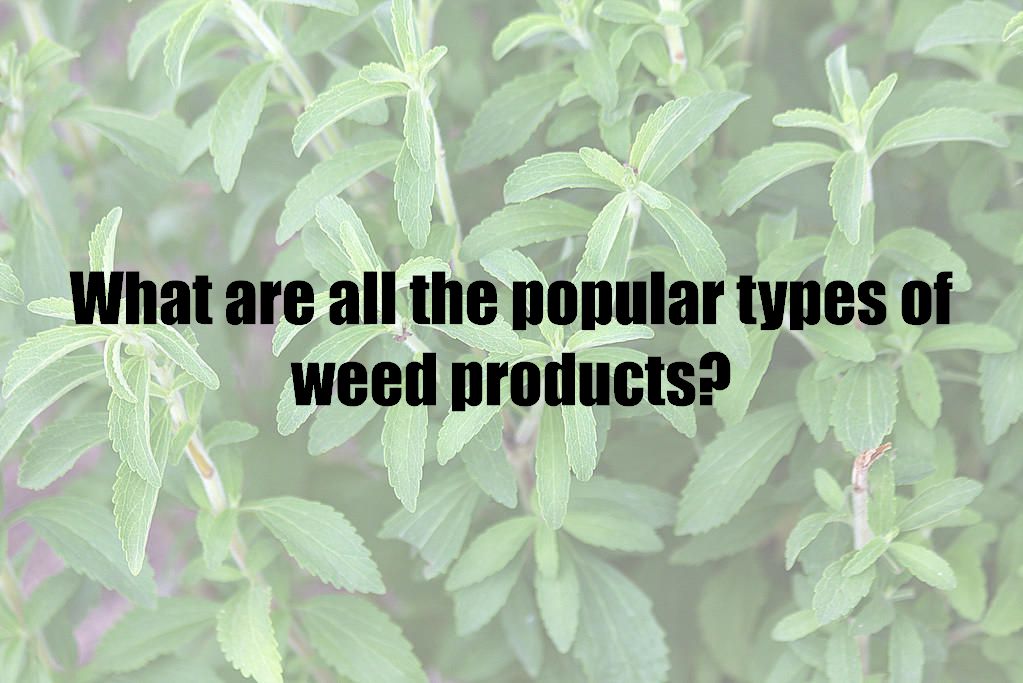 What are all the popular types of weed products?